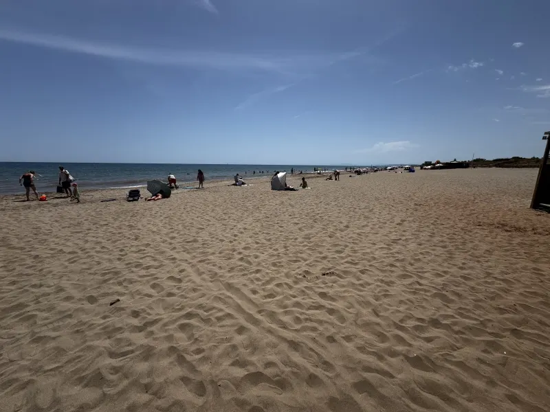 The Mediterranean